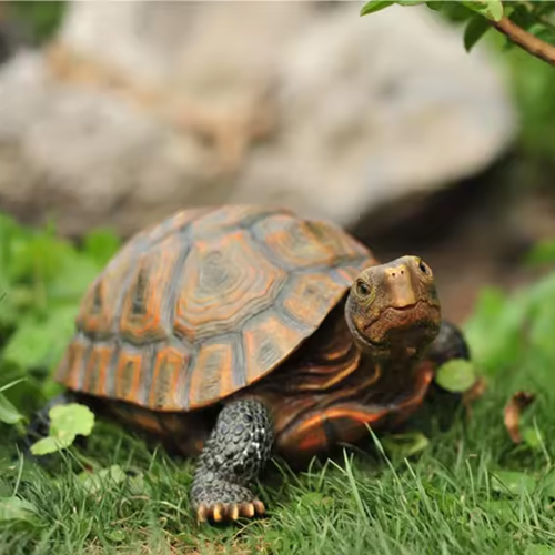 Custom OEM ODM Outdoor Garden Ornament decoration Resin Lifelike Tortoise Statue Turtle Figurine